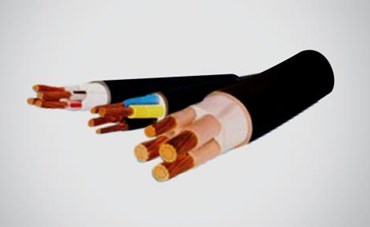 CÁP ĐIỆN LỰC HẠ THẾ 01